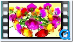Free Video Background